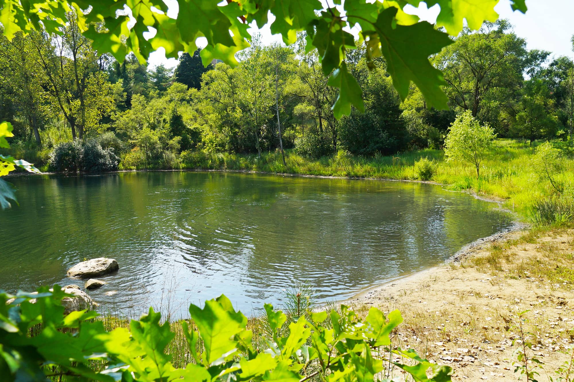 placeholder image-sq