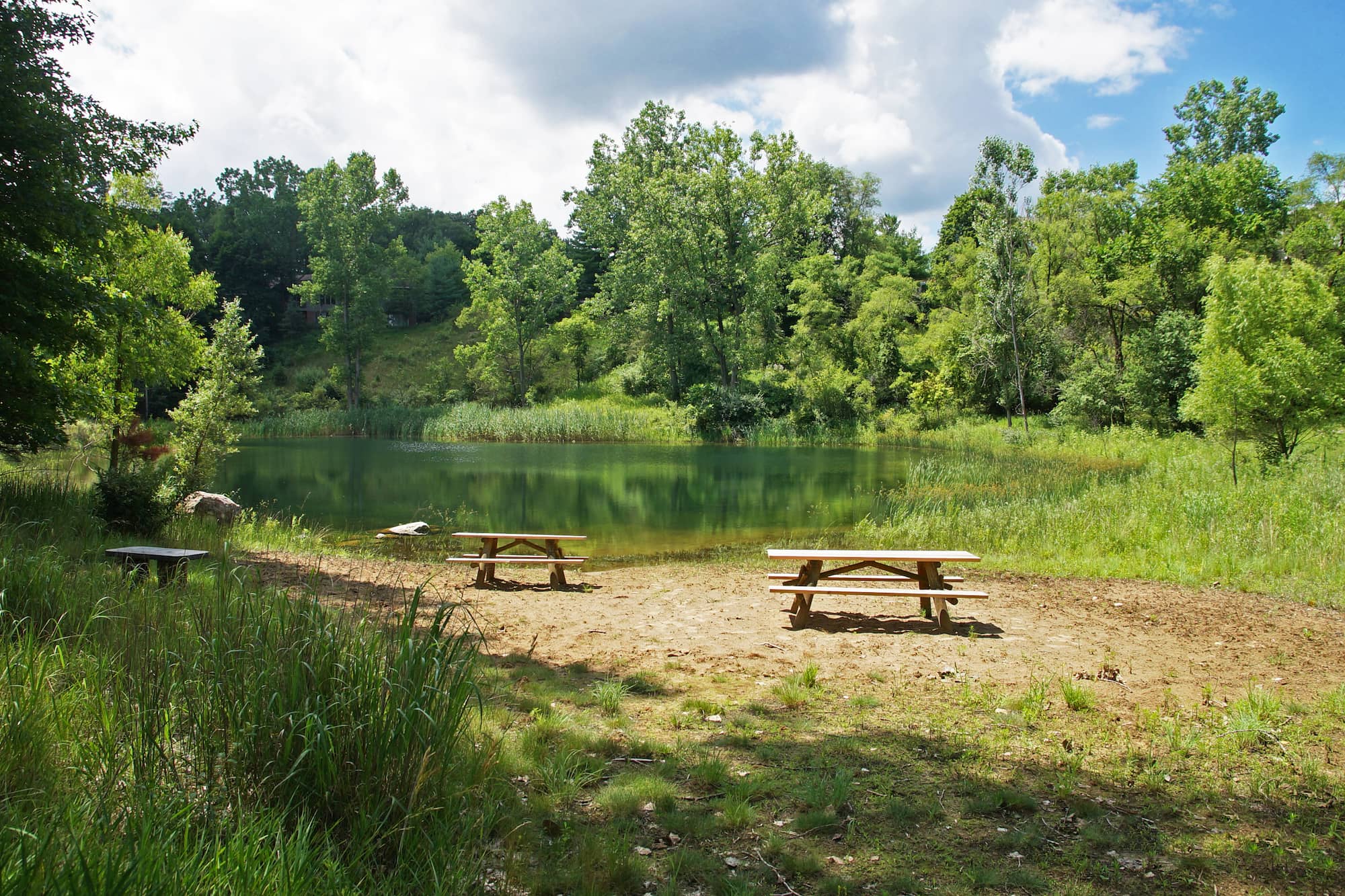 placeholder image-sq