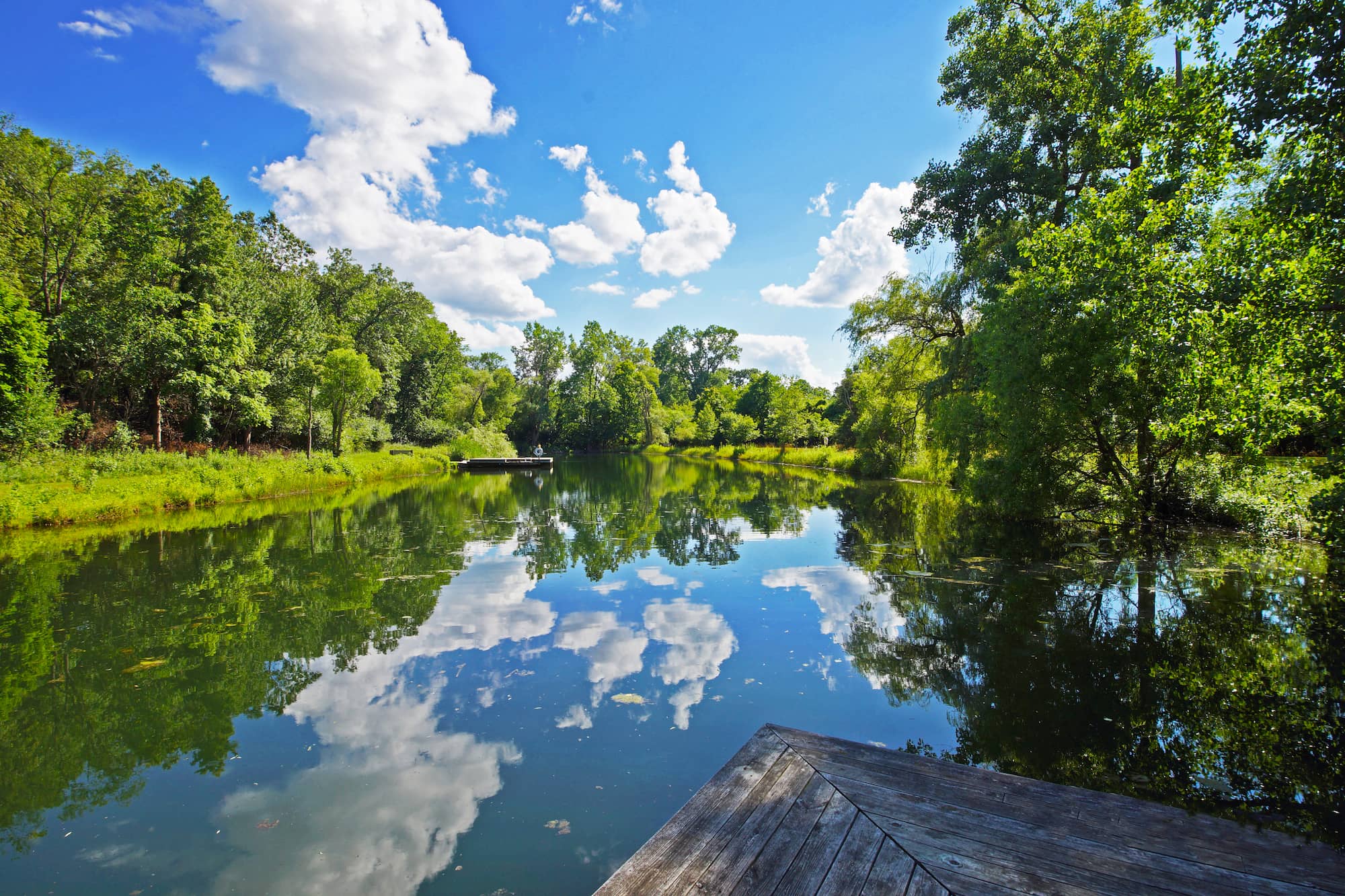 placeholder image-sq